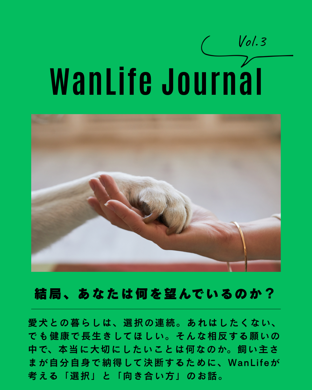 名古屋市・尾張旭市・長久手市・春日井市から来店多数の犬の整体WanLife