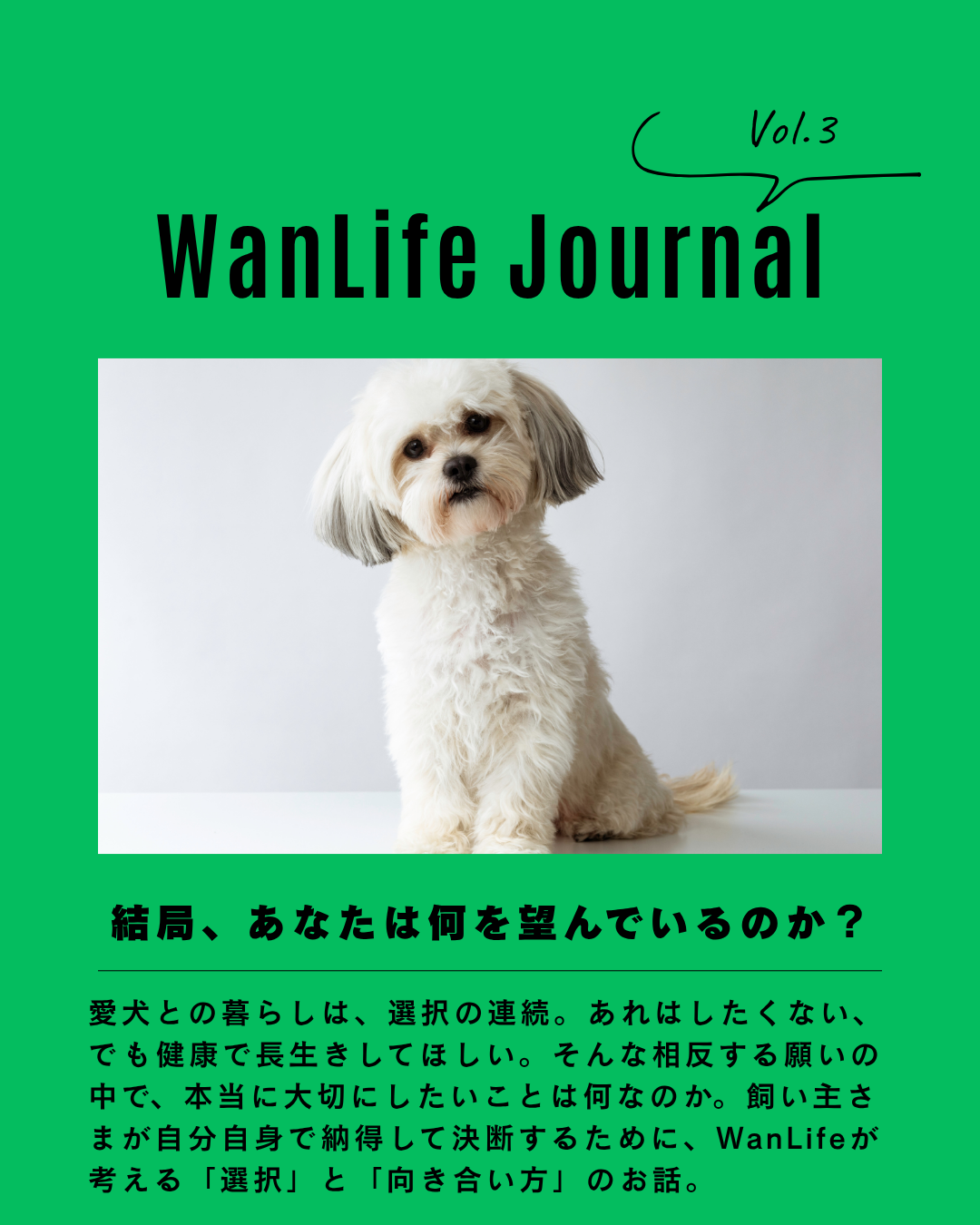名古屋市・尾張旭市・長久手市・春日井市から来店多数の犬の整体WanLife