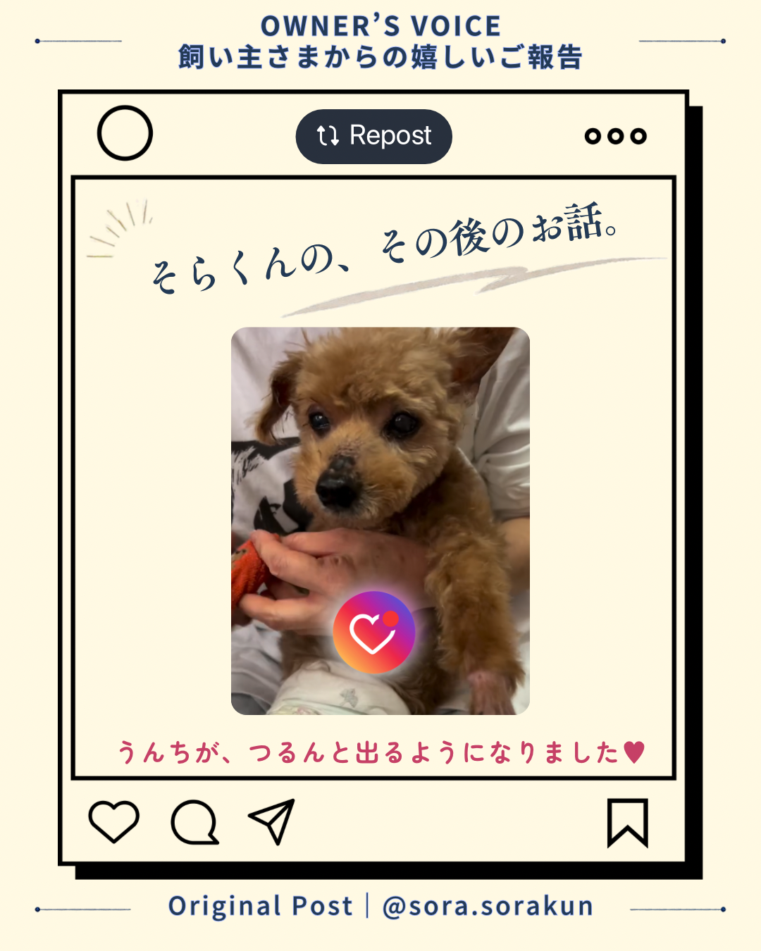 名古屋市・尾張旭市・長久手市・春日井市から来店多数の犬の整体WanLife